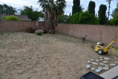 DSC_7325 (Large).JPG